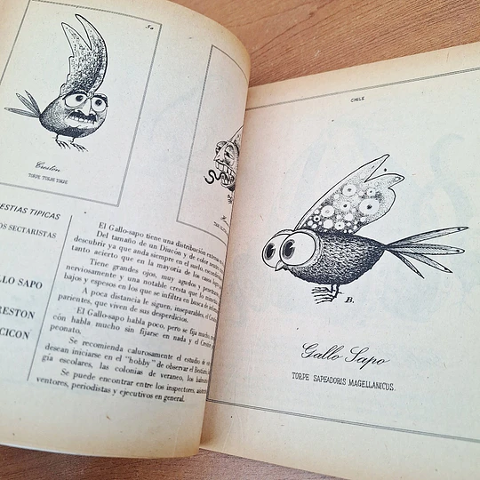 Bestiario del Reyno de Chile