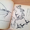 Bestiario del Reyno de Chile