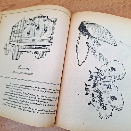 Bestiario del Reyno de Chile