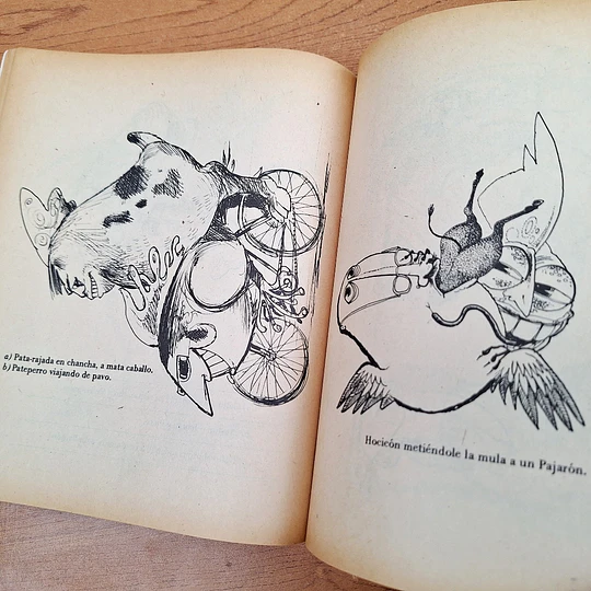 Bestiario del Reyno de Chile
