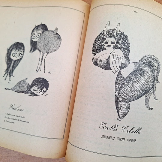 Bestiario del Reyno de Chile
