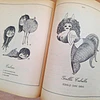 Bestiario del Reyno de Chile