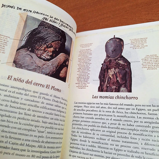 Mira tú. Guía para perderse en Chile