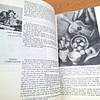 Historia de la pintura chilena