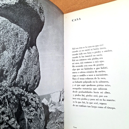 Las piedras de Chile / Pablo Neruda