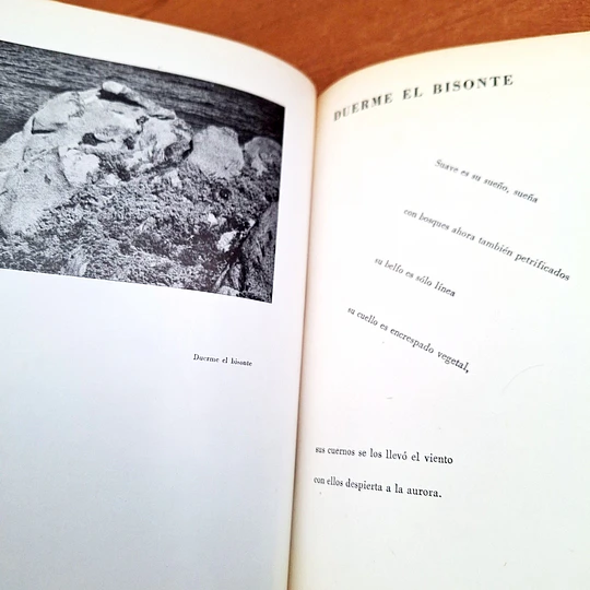 Las piedras de Chile / Pablo Neruda