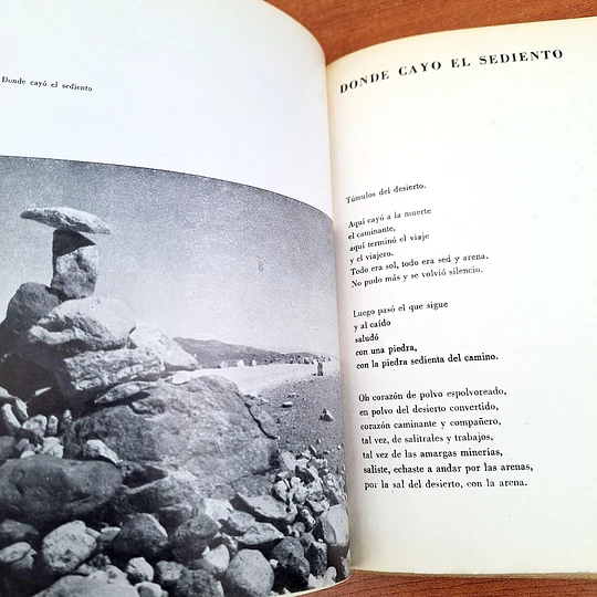 Las piedras de Chile / Pablo Neruda