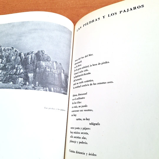 Las piedras de Chile / Pablo Neruda
