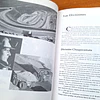 Historia de la Minería en Chile