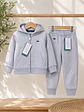 Conjunto Gris Lacoste - Miniatura 1