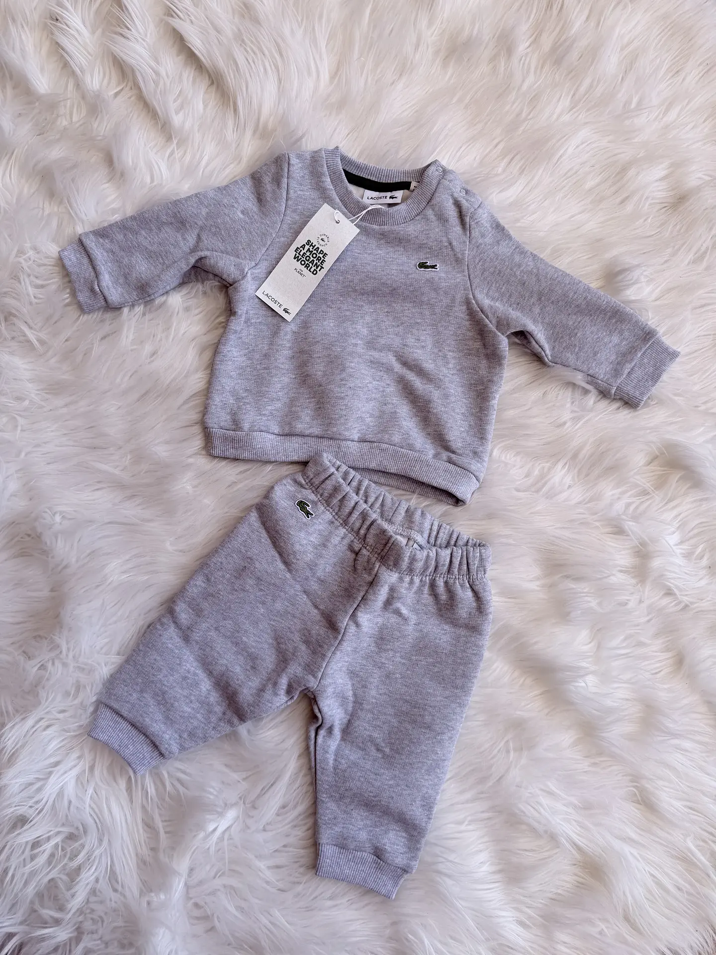 Conjunto Lacoste Gris Unisex 2