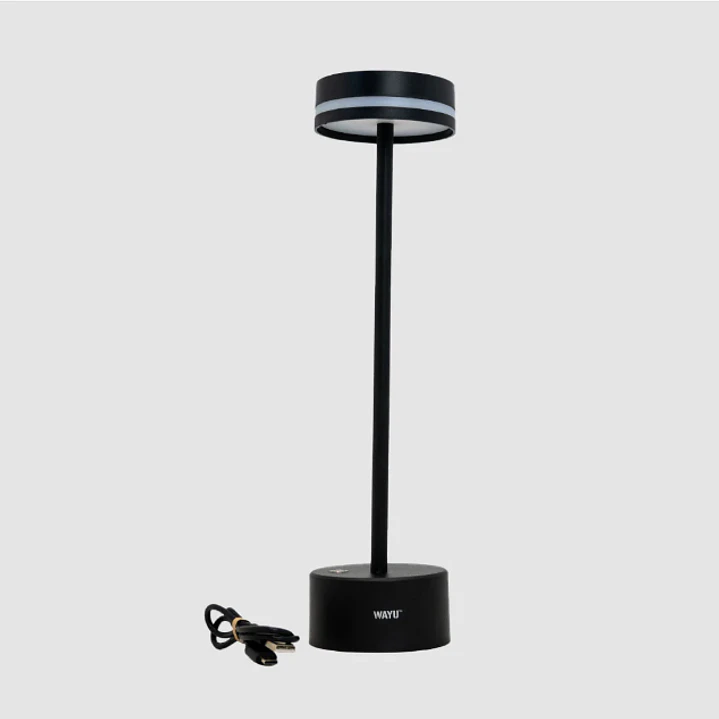 LAMPARA QUINCHO USB 2