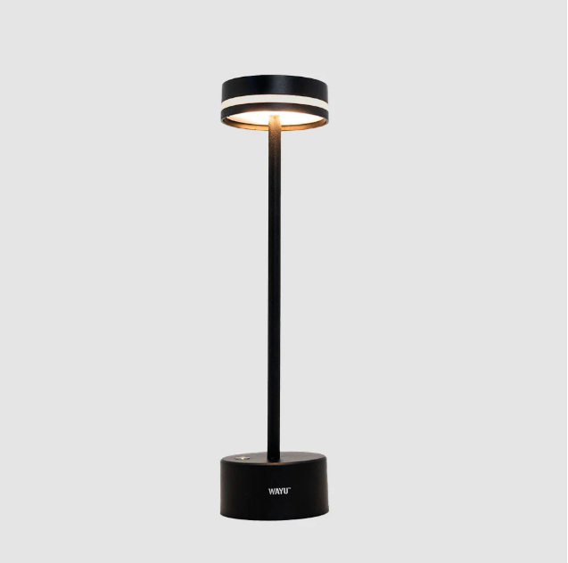 LAMPARA QUINCHO USB