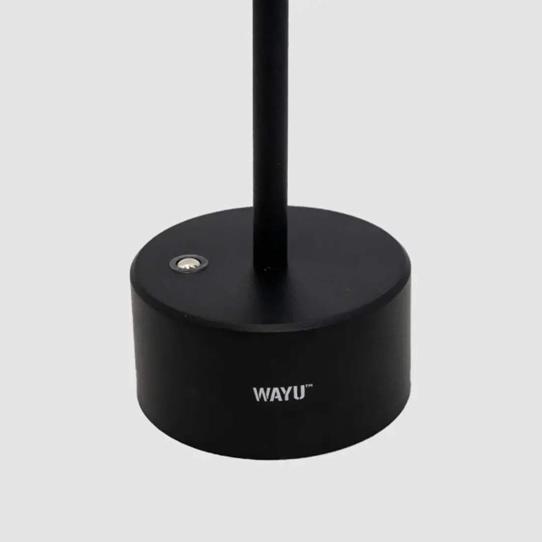 LAMPARA QUINCHO USB 2