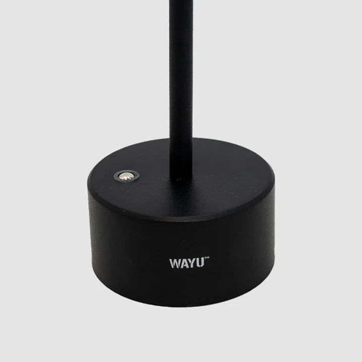 LAMPARA QUINCHO USB 2