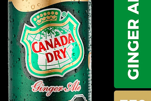 Bebida Canada Dry Ginger Ale Lata 350 ml