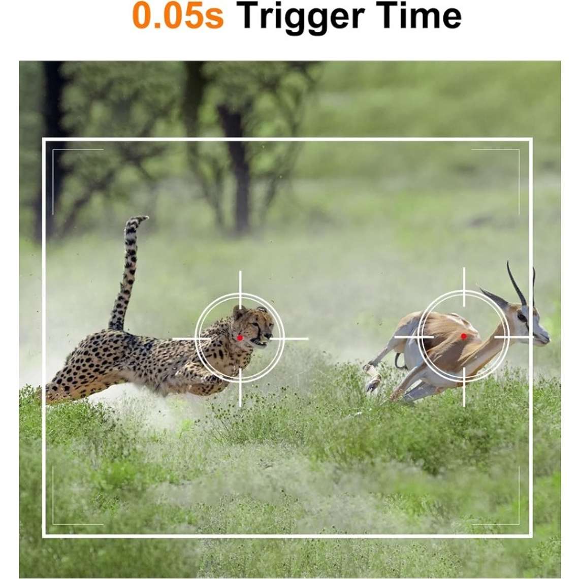 CAMARA TRAMPA PARA CAZA MINI 800S - DIGITAL TRAIL CAMERA 5