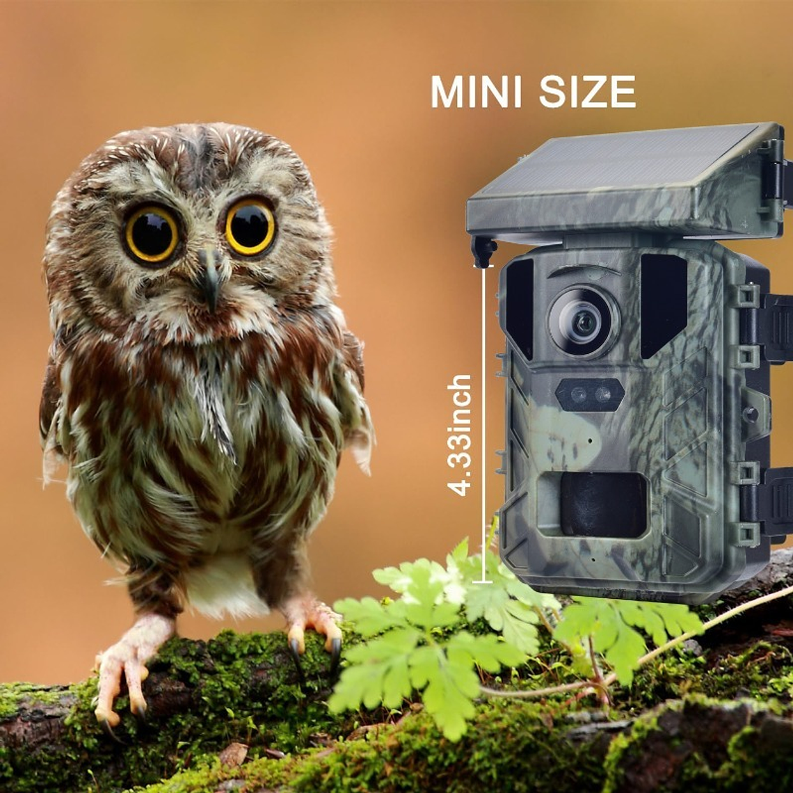 CAMARA TRAMPA PARA CAZA MINI 800S - DIGITAL TRAIL CAMERA 2