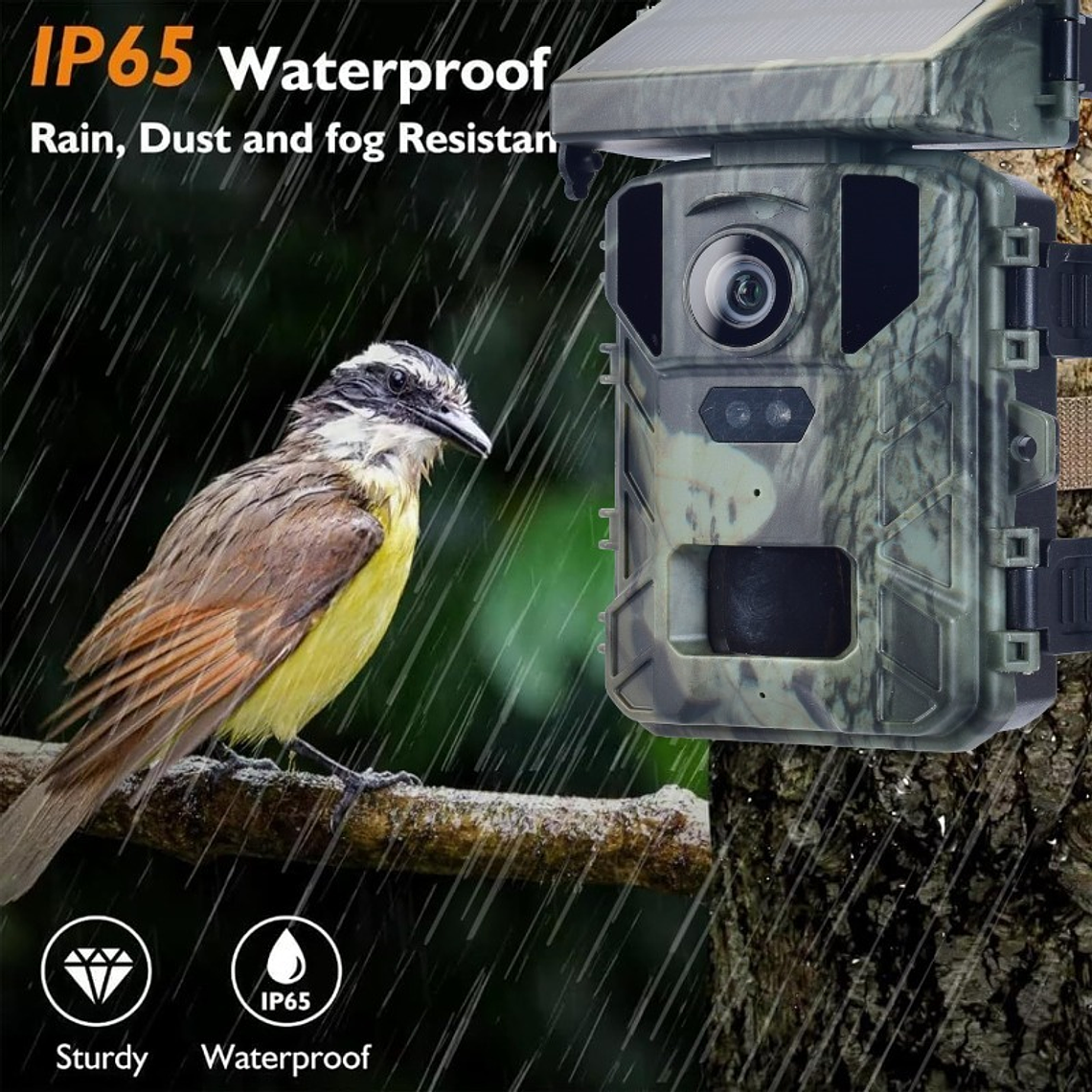 CAMARA TRAMPA PARA CAZA MINI 800S - DIGITAL TRAIL CAMERA 4