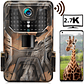 CAMARA TRAMPA WIFI 900 PRO - TRAIL CAMERA - 2K / 30MP - Miniatura 1