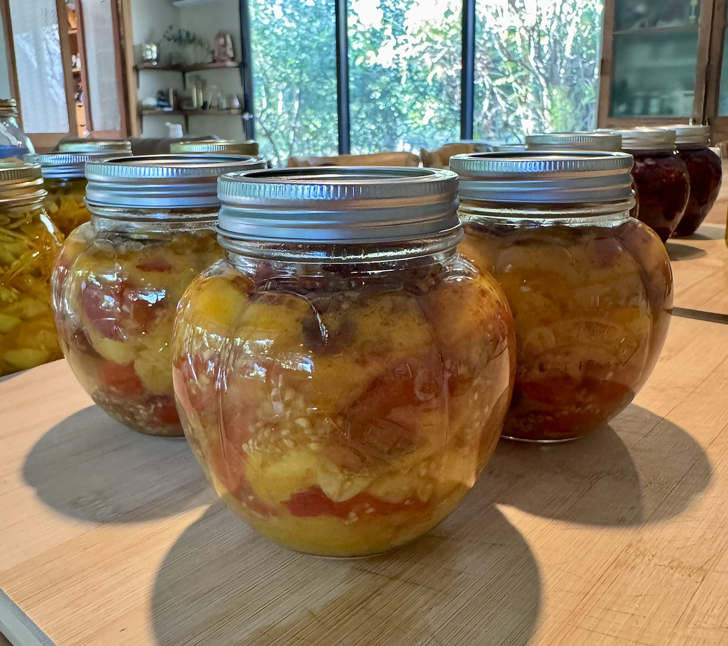 Clínica de Conservación Segura (Próximamente) 1