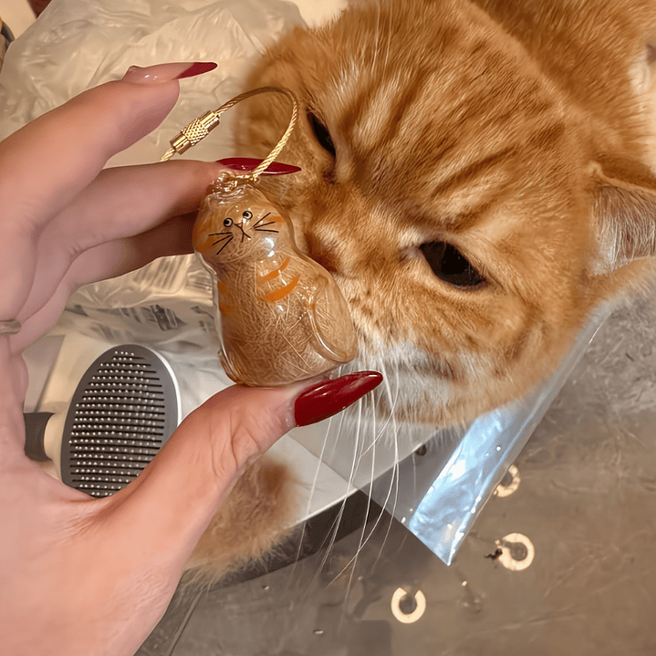 Llavero Para Guardar Pelitos de Tu Gatito 6