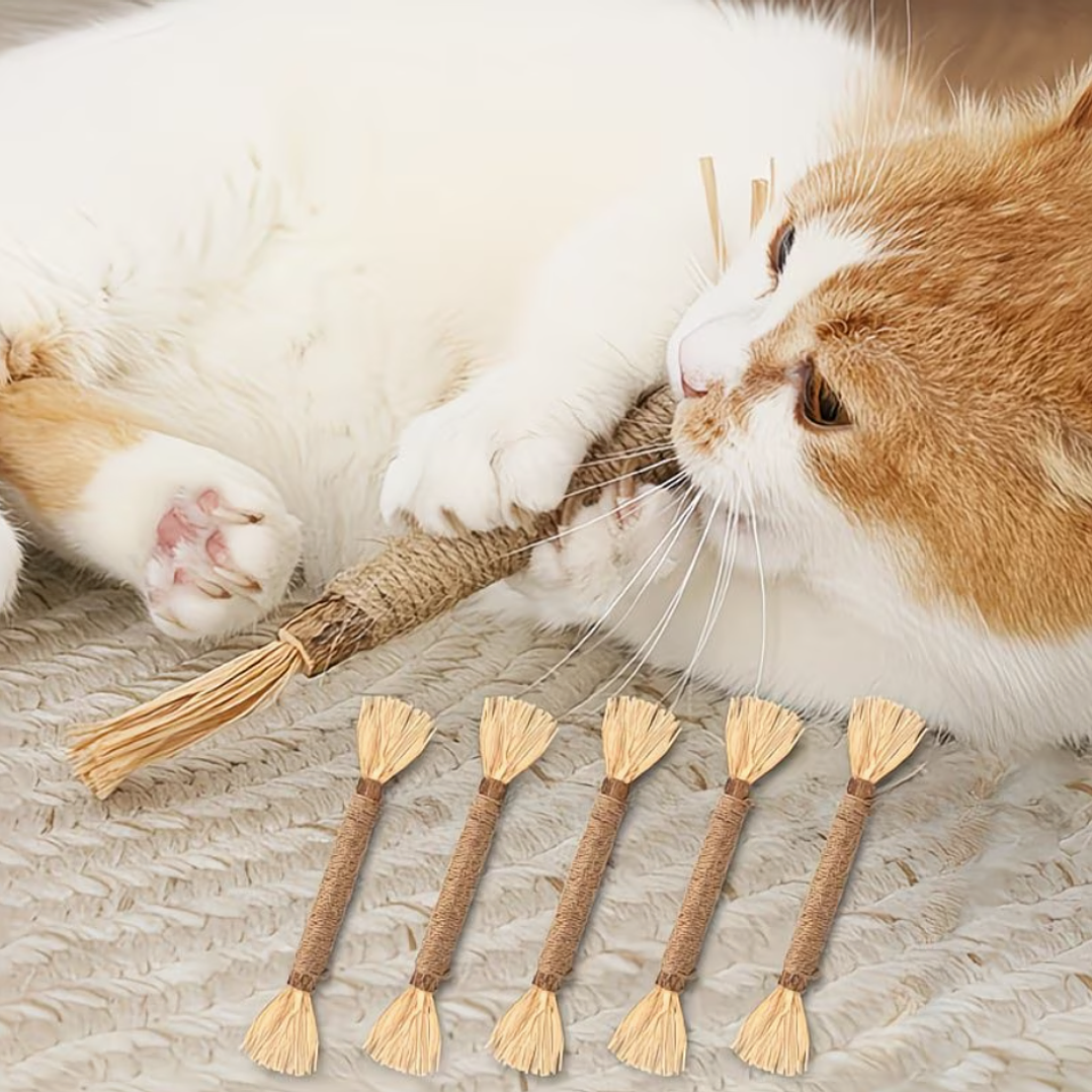 Set x3 Palitos de Matatabi 1