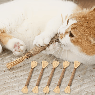 Set x3 Palitos de Matatabi