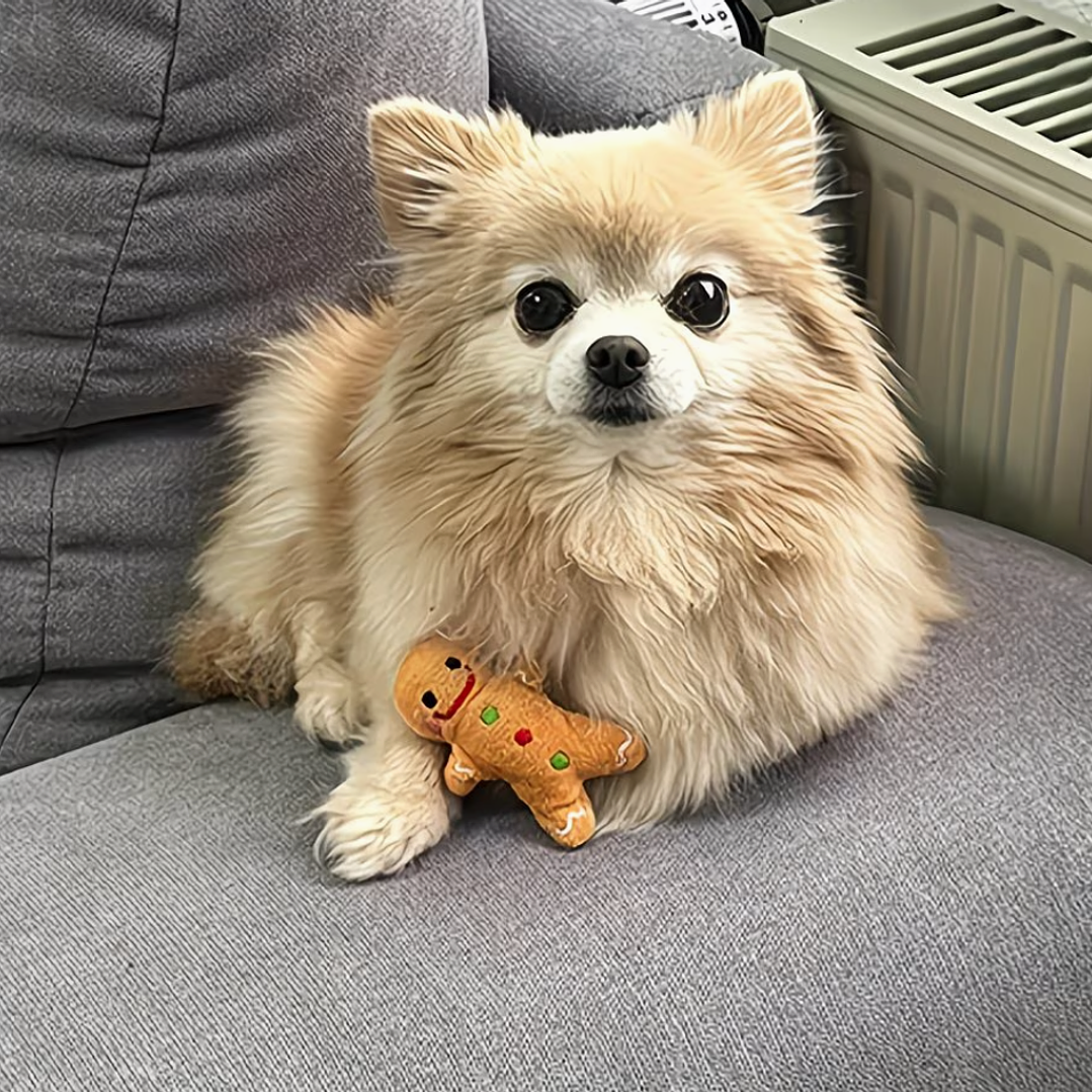 Peluche de Galleta de Jengibre 2