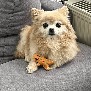 Peluche de Galleta de Jengibre
