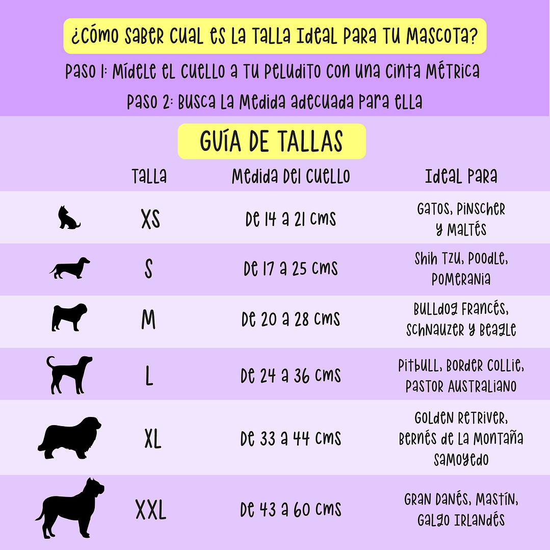 Collar Para Mascota Morado 3