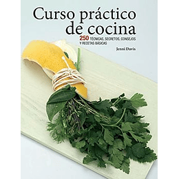 Curso Practico De Cocina - 250 Tecnicas Secretos Consejos Y Recetas
