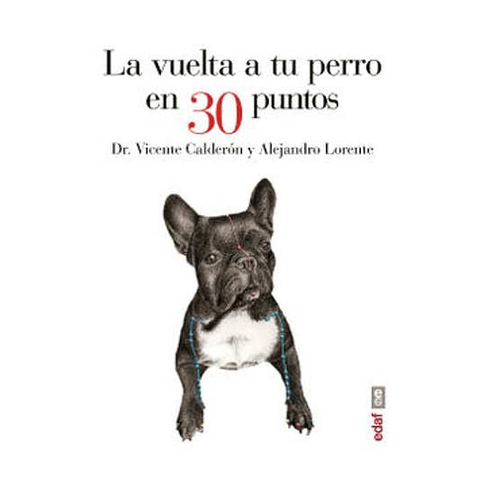 La Vuelta A Tu Perro En 30 Puntos