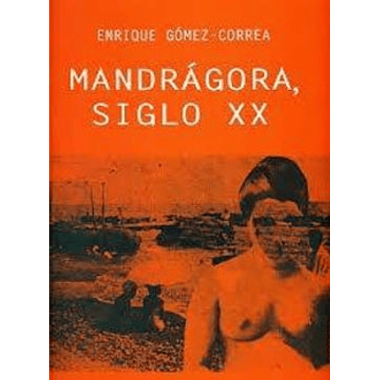 Mandragora Siglo Xx