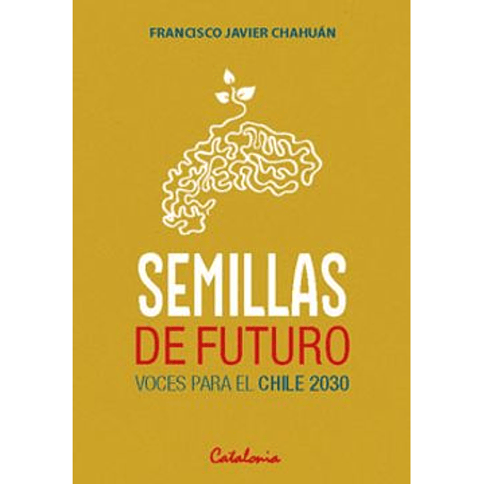 Semillas De Futuro Voces Para El Chile 2030