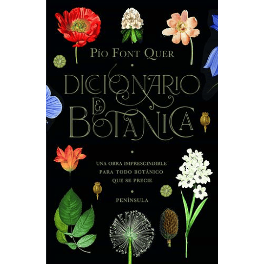 Diccionario De Botanica