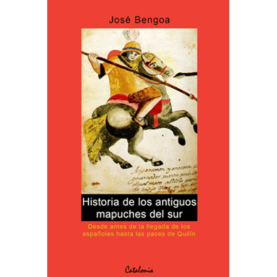 Historia De Los Antiguos Mapuches Del Sur
