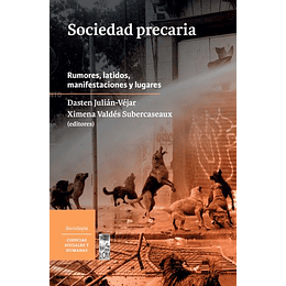 Sociedad Precaria