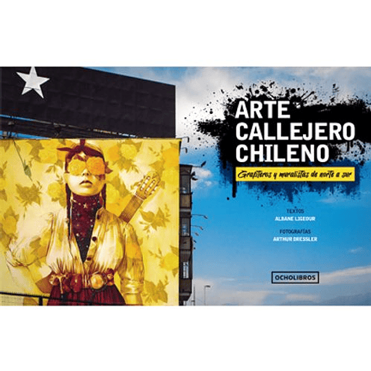 Arte Callejero Chileno -  Grafiteros Y Muralistas De Norte A Sur