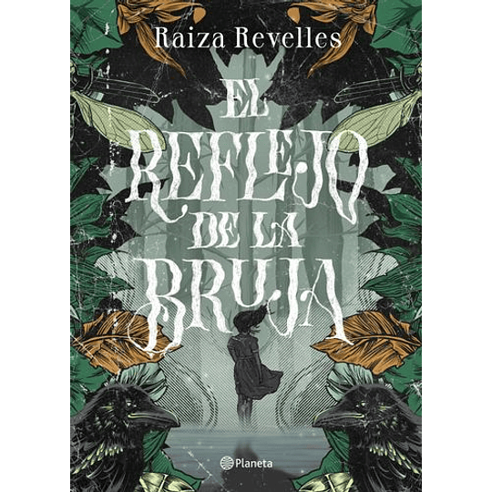 El Reflejo De La Bruja