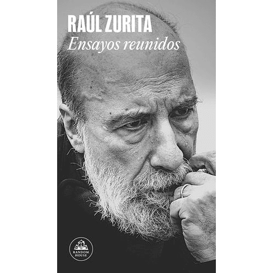 Ensayos Reunidos - Zurita