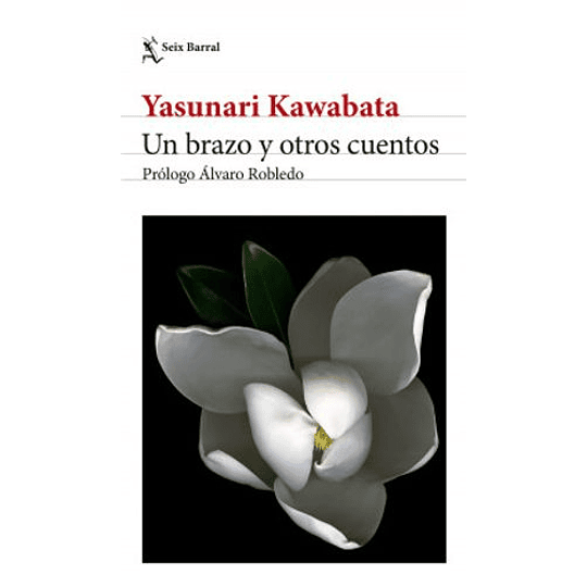 Brazo Y Otros Cuentos, Un