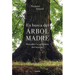 En Busca Del Arbol Madre Descubre La Sabiduria Del Bosque 