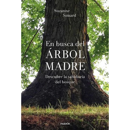En Busca Del Arbol Madre Descubre La Sabiduria Del Bosque 