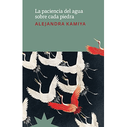 La Paciencia Del Agua Sobre Cada Piedra