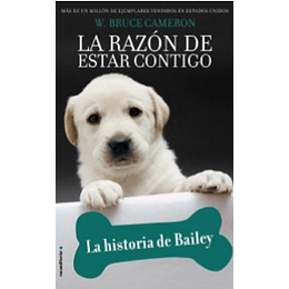 La Razon De Estar Contigo La Historia De Bailey