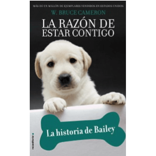 La Razon De Estar Contigo La Historia De Bailey
