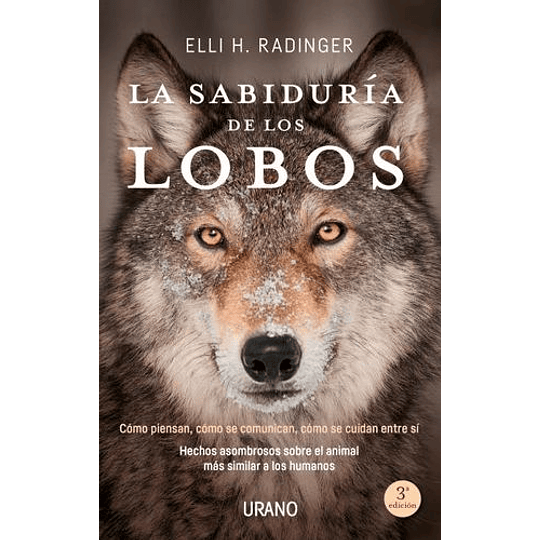 La Sabiduria De Los Lobos