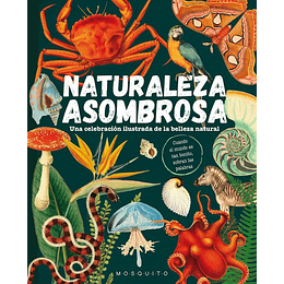 Naturaleza Asombrosa