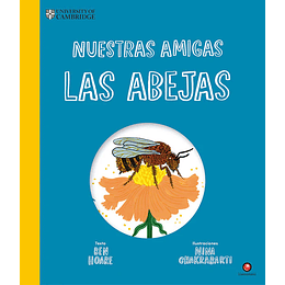 Nuestras Amigas Las Abejas